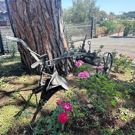 Tatil Evi Rose Garden Park -geranium-